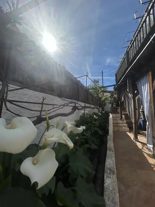Giardino Zen A Due Passi Dal Mar Διαμέρισμα Cannigione